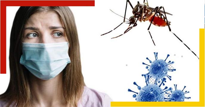 Dengue is spreading panic