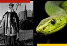 There are no snakes in Ireland