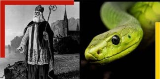 There are no snakes in Ireland