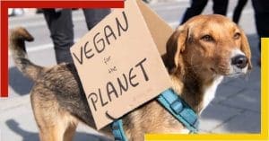 COP26