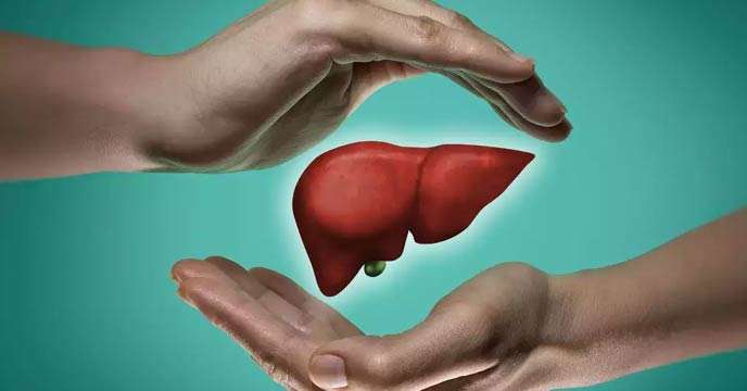 Viral Hepatitis Protect Your Liver This Way