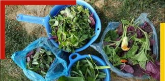 rituals of bhoot chaturdashi