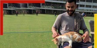 virat with cat