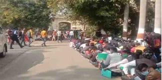 MP: Tragic picture of employment, application for the post of Peon of PhD-MBA passers