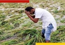 Purba Bardhaman: ফের রাজ্যে দেনার দায়ে কৃষক আত্মঘাতী Farmers suffered