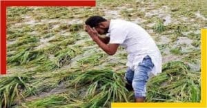 Farmers suffered