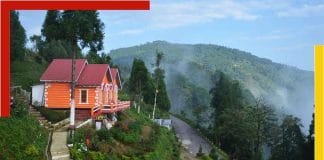 Darjeeling Tinchuley