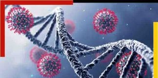 IHU: El Corona's new strain in front amidst Omicron panic