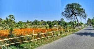 weekend-tour-at-deulti