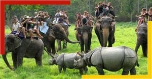 Kanha Jungle Safari