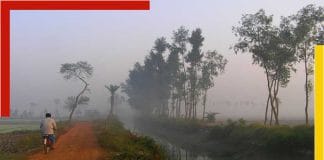 Winter Update of West Bengal