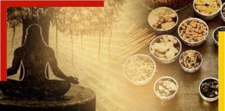 Indian herbal medicine