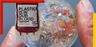 Microplastics found in human blood for first time