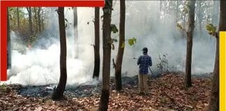 fire in the forest of Shalbani