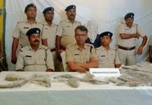 A large quantity of firearms was recovered from Kultali