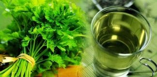 amazing health benefits of coriander leaves