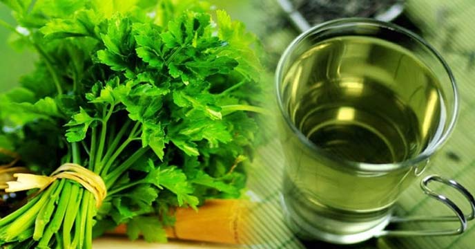 amazing health benefits of coriander leaves