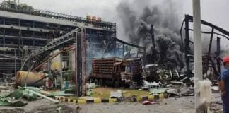 blast organic company gujarat