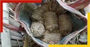 Crude bombs
