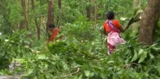 cyclone in Coochbihar