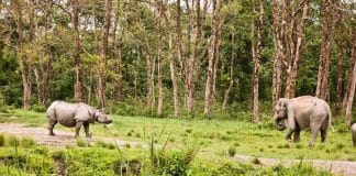 Jalpaiguri will be specially designed by the state government to attract tourists