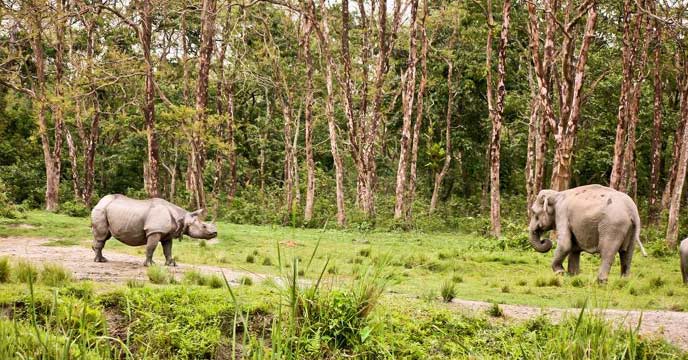 Jalpaiguri will be specially designed by the state government to attract tourists
