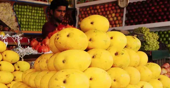 mangoes in Malda sale