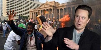 netizens plead with Elon Musk