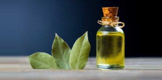 Traditional Home Remedies Using Bay leaves oli