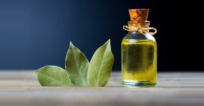 Traditional Home Remedies Using Bay leaves oli