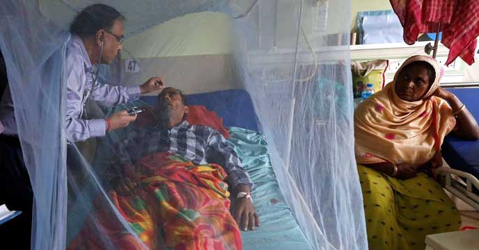 Dengue is on the rise in North Bengal
