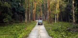 Mahananda Wildlife Sanctuary