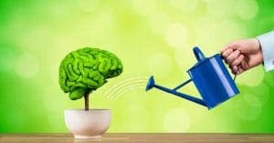 Natural Ways to Improve Your Memory
