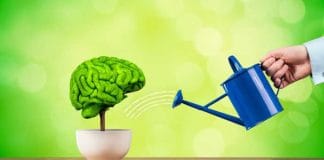 Natural Ways to Improve Your Memory