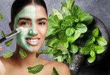 Skincare tips: পিগমেন্টেশন আর ত্বকের দাগ থেকে মুক্তি দেবে পুদিনা goodbye to pigmentation and blemishes with this pudina or mint toner