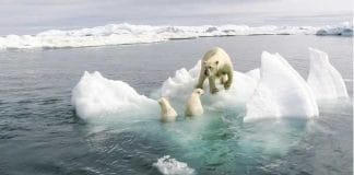 world is on the verge of destruction