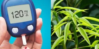 Tips to control diabetes