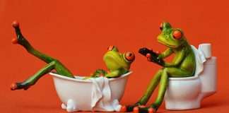 Mobile users in the toilet