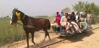 Real Horse Train