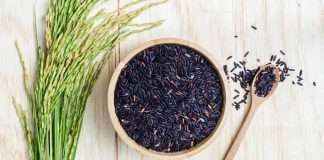 Black rice, health, Health benefits, Healthy tips, Lifestyle