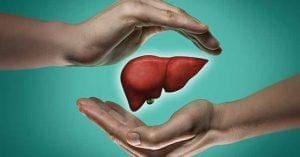damage your liver