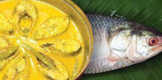 unknown-secret-of-ilish