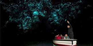 waitomo-glowworm-caves-travel-story