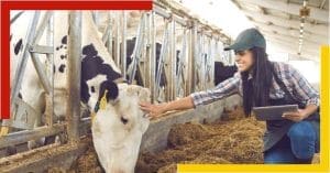 animal husbandry job india
