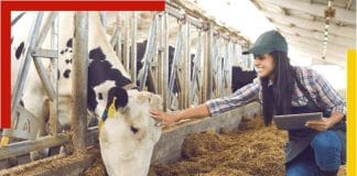 animal husbandry job india