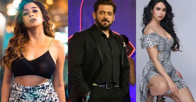 BIG Boss 16: Salman Khan's Reality Show Contestants Confirmed List