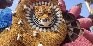 jagadhatri puja 2022