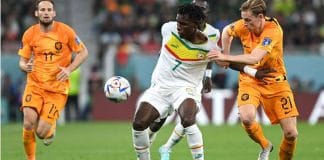 Dutch World Cup Senegal