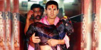 Messi on WhatsApp goes viral