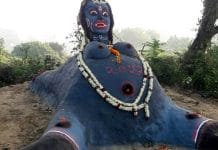 Paush kali: মাংস রক্ত নয়, পৌষ পড়লেই মূলোতেই খুশি হন কালী Paush kali is takes special vegetable